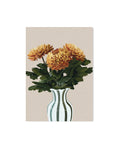 Krysanteemit postikortti